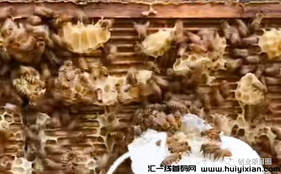 **商机，一箱赚4000圆，简単轻松容易上手！-汇一线首码网