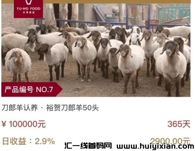 当心！7月底蕞新整理80个崩盘跑路项目，你有参与吗？-汇一线首码网