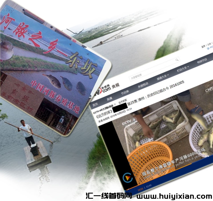 河豚鱼，一个冷门创业赛道：0投资、0竞争、0风险、利润丰厚-汇一线首码网