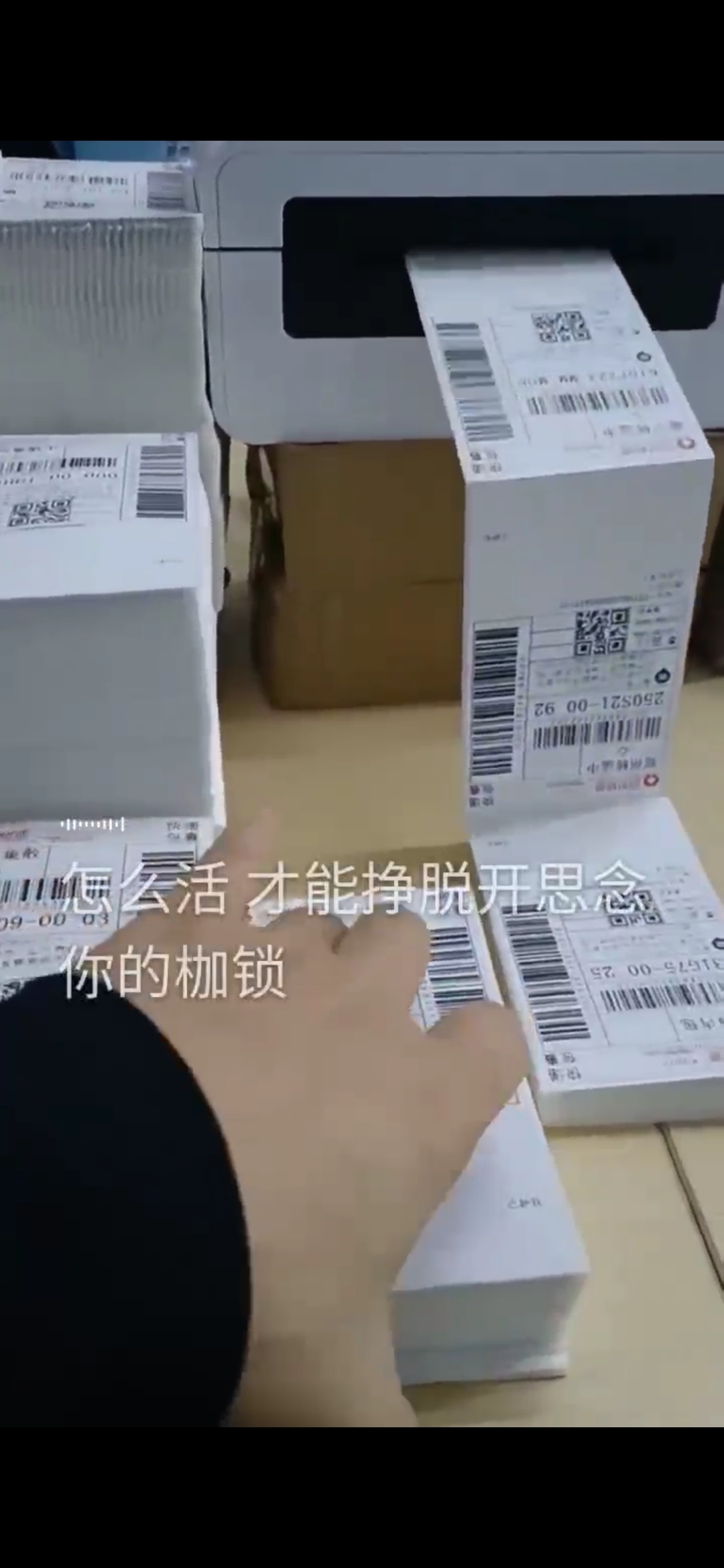 877852500f20231016162401