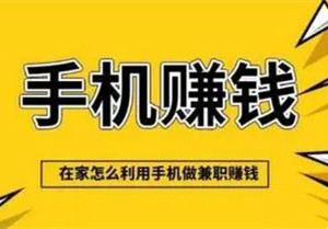 乐享宝，有负债想翻身的看过来，手机日收溢稳定，收溢可实时可提-汇一线首码网