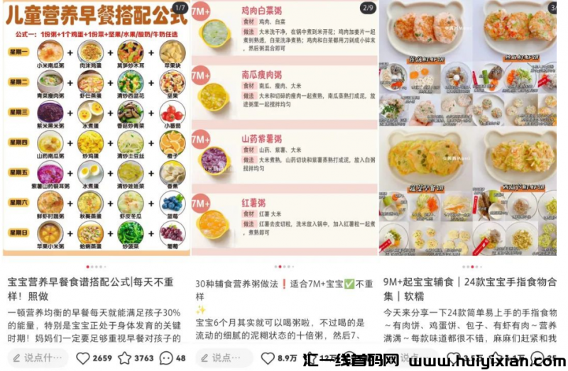 图片[2]-婴儿辅食虚拟资料项目详解，零门槛轻松运营，创造财富机会-汇一线首码网