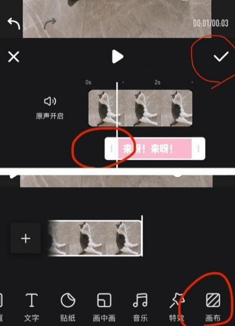 d2b5ca33bd20231031143905