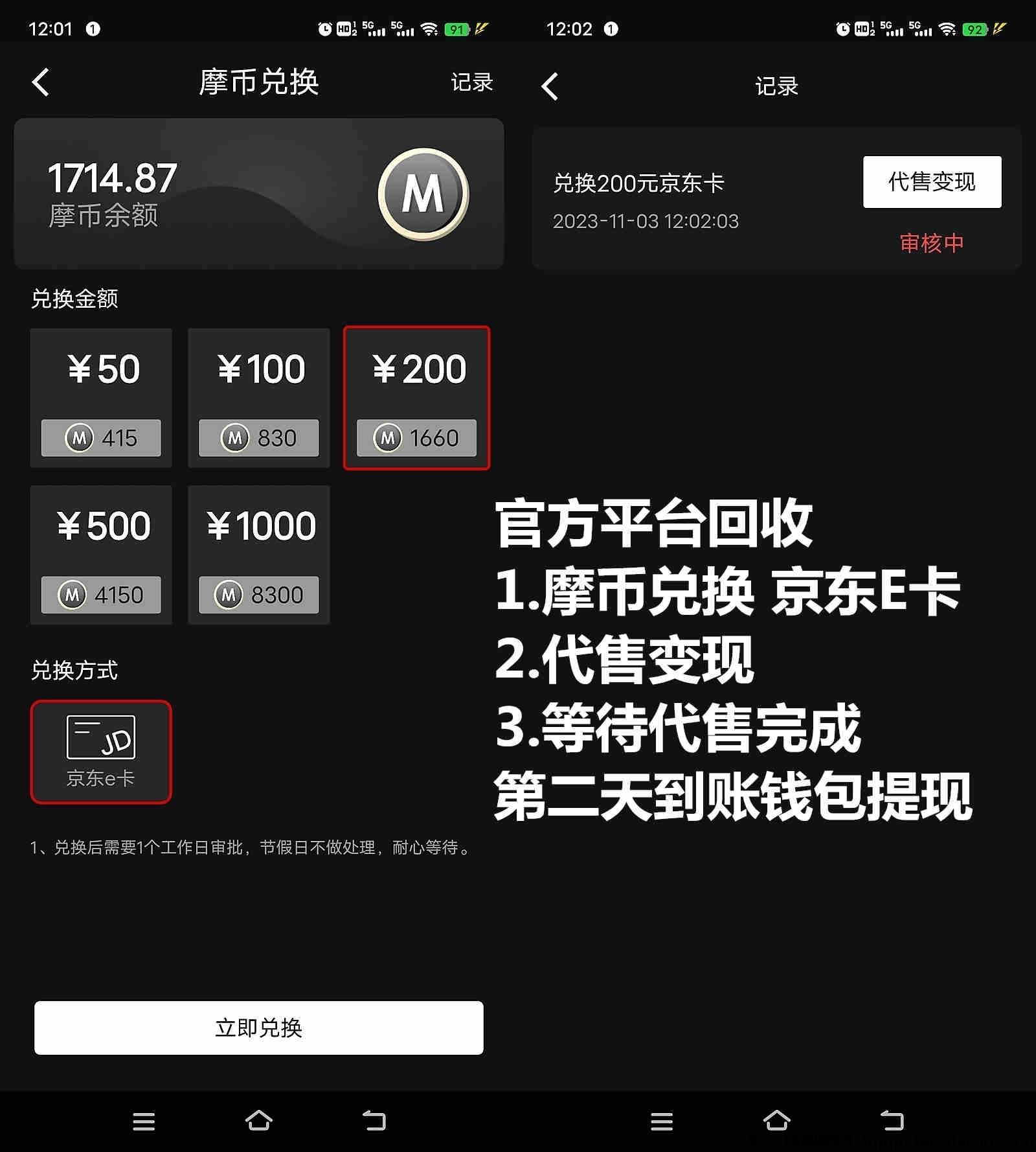 fe5df232ca20231103123120