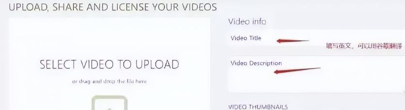 d2b5ca33bd20231201185158