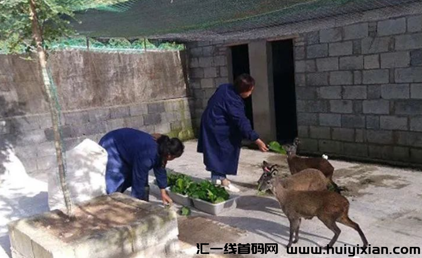 d2b5ca33bd20231220123246