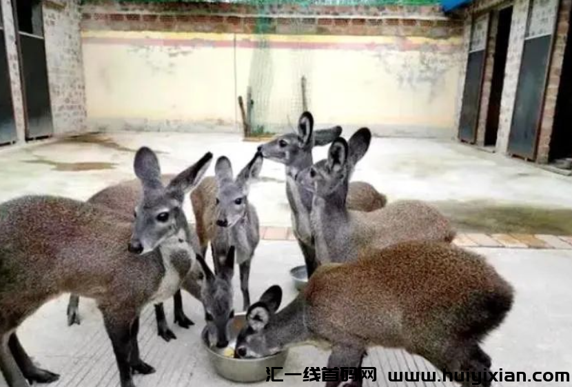 d2b5ca33bd20231220123300