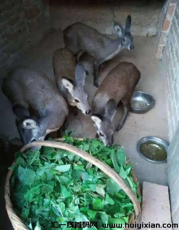 d2b5ca33bd20231220123314