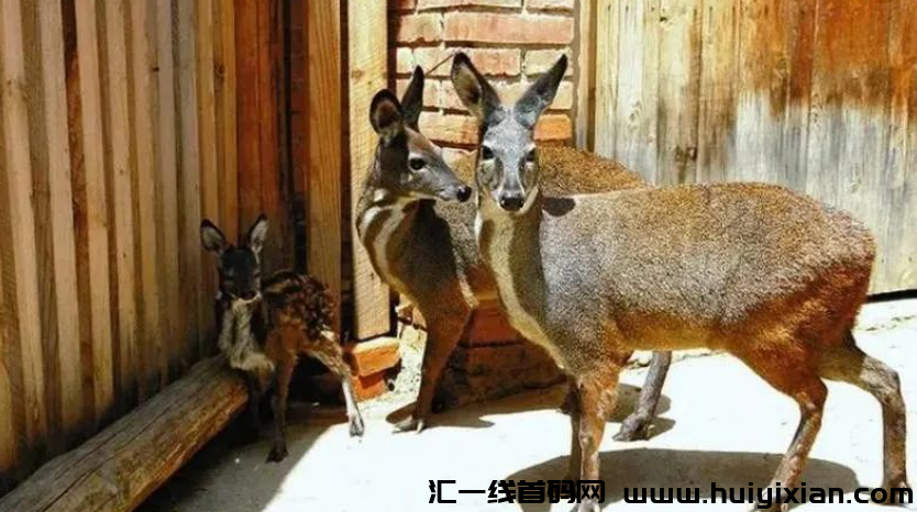 d2b5ca33bd20231220123330