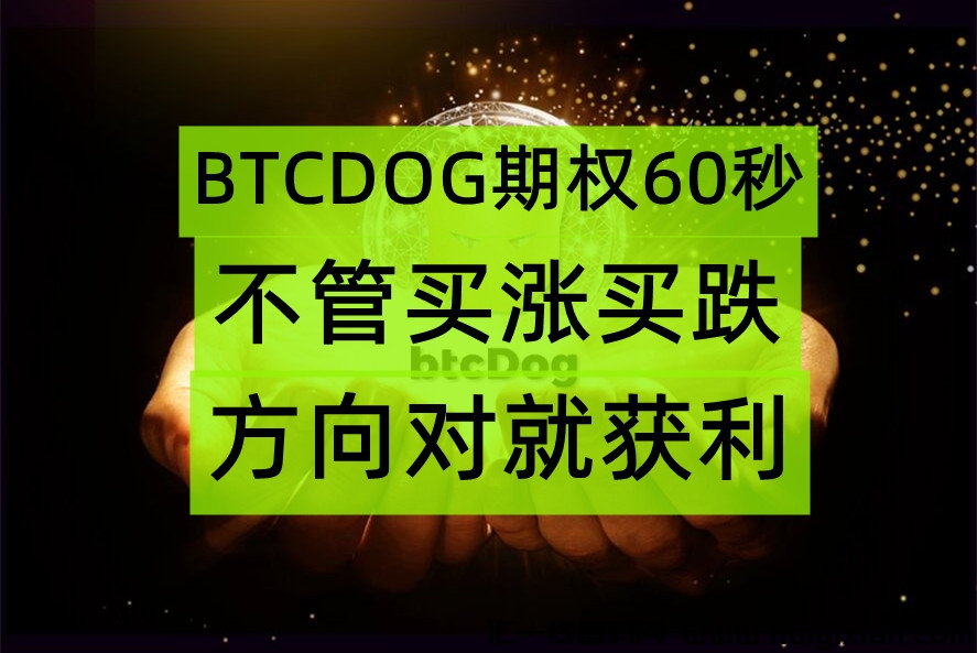 BTCdog期权是什么？靠谱吗？新人值得做吗？-汇一线首码网