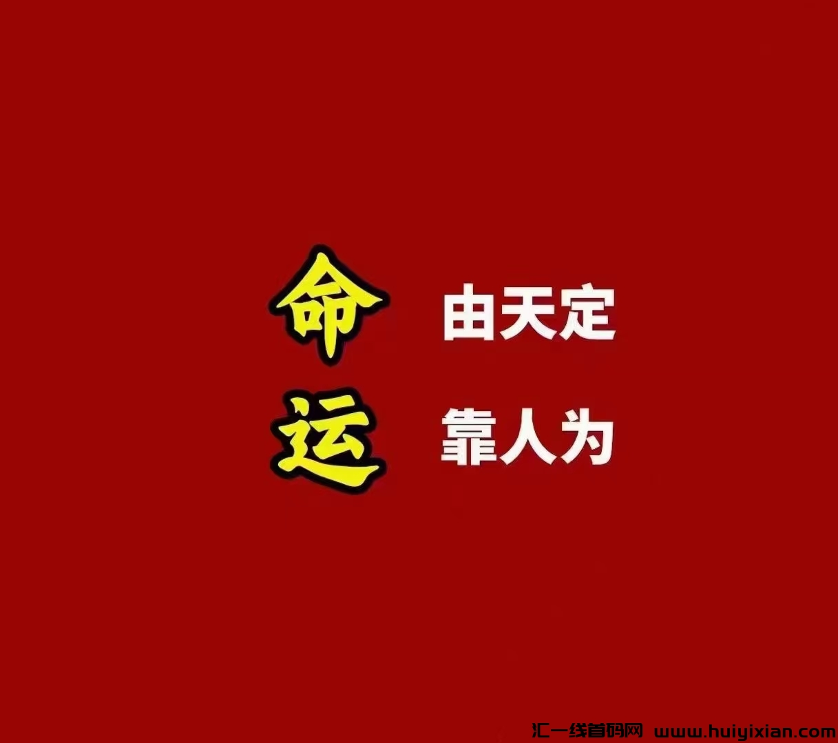 81317ceaef20240203171043