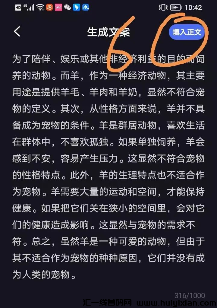 d2b5ca33bd20240208140801